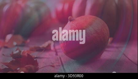 Kleiner Kürbis mit kurzem Stiel auf abgenutzter Holzplatte, getrocknete Blätter verschwommene Kürbisse rosa Flare Stockfoto