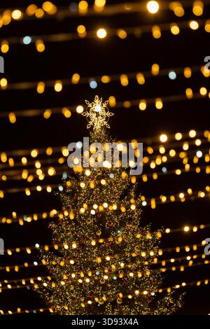 Ein großer Weihnachtsbaum im Freien in Vilnius, dekoriert mit warmweißen Lichtern und Ornamenten, gekrönt von einem leuchtenden Stern, steht in einer festlichen Umgebung Stockfoto