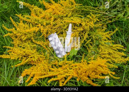 Ragweed blüht auf dem Feld. Allergie. Selektiver Fokus. Natur. Stockfoto