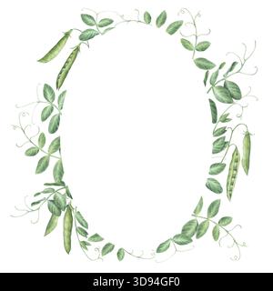 Ovaler Rahmen mit Zweigen, Blättern und Schoten von Gartenerbsen. Aquarellillustration handgezeichnet und isoliert auf weißem Hintergrund. Ideal zum Dekorieren von po Stockfoto