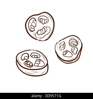 In Scheiben geschnittene jalapeño Paprika. Vektorillustration in minimalistischem Umrissstil. Diese scharfe Gemüsezutat mit Samen wird isoliert Stock Vektor