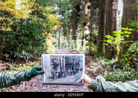 Zwei Personen halten ein historisches Schwarzweiß-Foto vor die Kamera, das eine Prozession auf der alten Tōkaidō-Straße durch Hakone zeigt – aufgenommen auf demselben Straßenabschnitt, der noch heute mit Sugi-Zedern (Kryptomeria) gesäumt ist. Das Motiv „Bild im Bild“ veranschaulicht die visuelle Kontinuität dieses Abschnitts der historischen Überlandroute zwischen Edo und Kyoto. Hakone, Präfektur Kanagawa, Japan Stockfoto