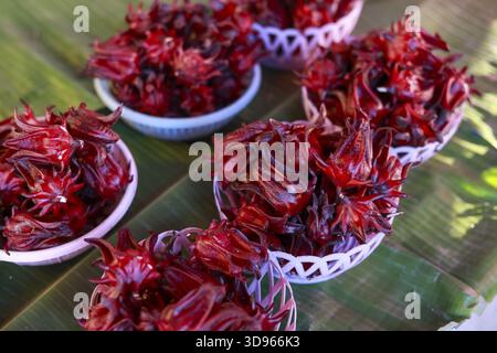 Leuchtend rote roselblüten, gesunde pflanzliche Zutat für Tee, wunderschön in weißen Schüsseln angeordnet. Frisches Superfood voller Vitamine, auf gr Stockfoto