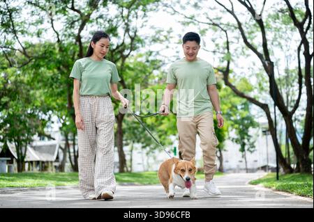 Lächelnde junge Erwachsene asiatische Mann und Frau, die eine Leine an ihrem Corgi-Welpen halten, während sie im Park auf dem Bürgersteig spazieren. Ein paar Hemd, ein Hund, ein Familienausflug. Stockfoto