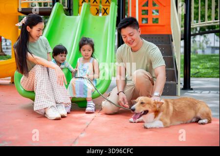 Asiatisches Mädchen und Junge auf farbenfroher Kletterrutsche, die eine Leine am Corgi-Welpen mit Mama Dad auf einem Spielplatz halten. Kreative Spielsachen, Hund, Familienausflug Stockfoto