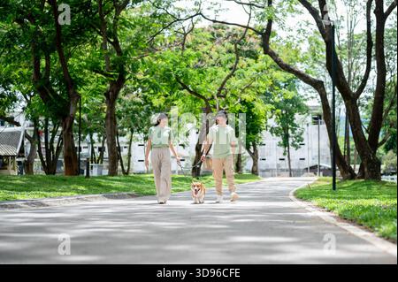 Lächelnder junger Erwachsener asiatischer Mann und Frau, die eine Leine am Corgi-Welpen halten, während sie auf dem Bürgersteig im Park spazieren. Ein paar Hemd, ein Hund, ein Familienausflug. Stockfoto
