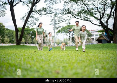 Dad hält die Leine an seinem Corgi-Welpen, während er mit Mutter Sohn und Tochter auf dem Gras im Park Alongs läuft. Eltern und Kinder, Hund, Familienausflug. Stockfoto