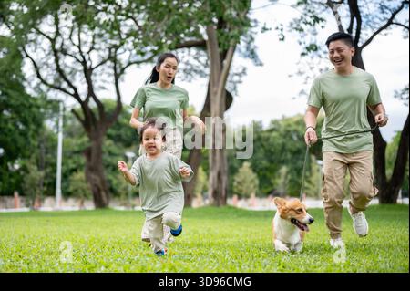 Lächelnder Vater hält eine Leine an Corgi-Welpen, während er mit Mutter und Sohn im Park spaziert oder Alongs läuft. Eltern und Kinder, Hund, Familienausflug Stockfoto