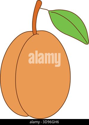 Eine ganze Aprikose mit warmer Orangenhaut und einem einzelnen grünen Blatt am Stiel. Stock Vektor