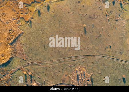 Hochwinkelansicht der ländlichen Landschaft mit trockenem Gras und Schilf, gekennzeichnet durch tiefe Reifenspuren von schwerer militärischer Ausrüstung und Panzern während laufender aktiver Konfliktoperationen. Stockfoto