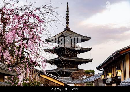 Kyoto: Fünfstöckige Pagode und Kirschblüten Stockfoto