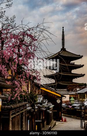 Kyoto: Fünfstöckige Pagode und Kirschblüten Stockfoto