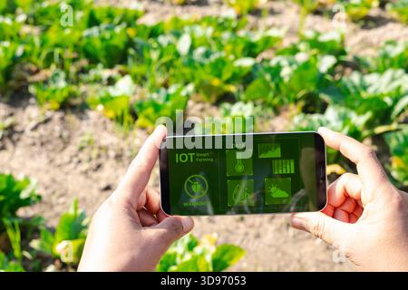 Landwirtschaftstechnologie Landwirt Person händigt mit Smartphone Computer-Analysedaten mit visuellem Symbol. Konzept der intelligenten Landwirtschaft. Hände halten Stockfoto