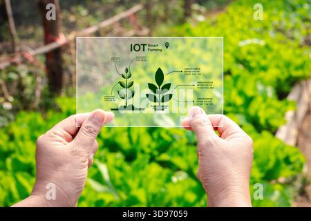 Weibliche Hände auf grüner Gemüsefarm und auf virtuellem Bildschirm. Touchscreen von High-Tech. Wissenschaftler mit Smartphone der Zukunft in Händen. Smart Farmi Stockfoto