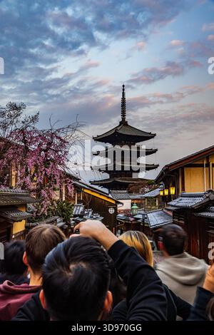 Kyoto: Fünfstöckige Pagode und Kirschblüten Stockfoto