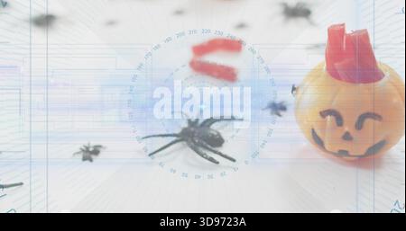 Zentriert die schwarze Spinne, die innerhalb der Radarmarkierungen auf der weißen Tischplatte liegt, mit orangefarbenem Kürbisbehälter Stockfoto