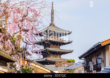 Kyoto: Fünfstöckige Pagode und Kirschblüten Stockfoto