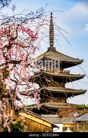Kyoto: Fünfstöckige Pagode und Kirschblüten Stockfoto