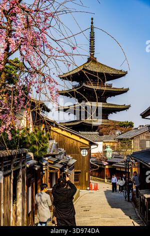 Kyoto: Fünfstöckige Pagode und Kirschblüten Stockfoto