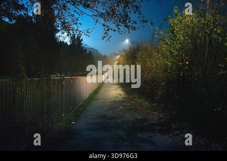 Bürgersteig zwischen dem Zaun und den Büschen, Nachtszene der Promenade im Park im Spätherbst, die Stadt Cacak in Serbien. Stockfoto