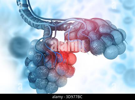 Lungenalveolen auf blauem Hintergrund. 3D-Abbildung Stockfoto
