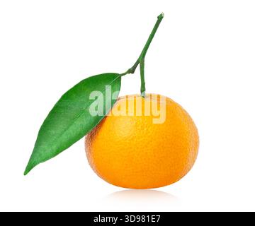 Frische reife Mandarine, Mandarine oder Clementine mit grünem Blatt isoliert auf weißem Hintergrund, mit Reflexion, auf einem Zweig. Stockfoto