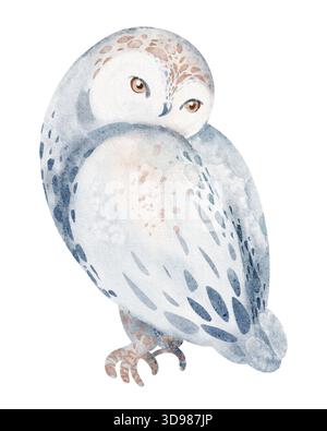 Schneeeule sitzt isoliert auf weißem Hintergrund. Aquarellillustration von Arktis-Eulen, Schneeeuulen oder Raubvögeln. Handgezeichnetes Design für Print oder Kinder Stockfoto