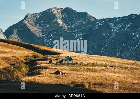 Einsame rustikale Holzhütte auf goldenem Grashang und alpinem Berg im Herbst in den französischen Alpen Stockfoto