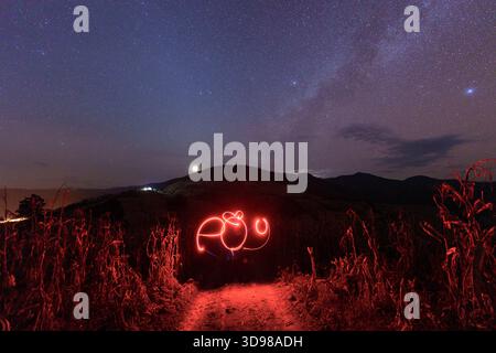 Astrofotografie mit Sternenhimmel über Lichtmalerei auf dem Weg, umgeben von trockenem Maisfeld und fernen Bergen Stockfoto