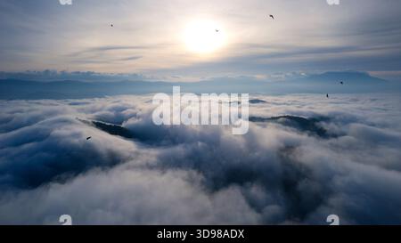 Aus der Vogelschar, der morgens mit der Sonne über den nebeligen Berg fliegt Stockfoto