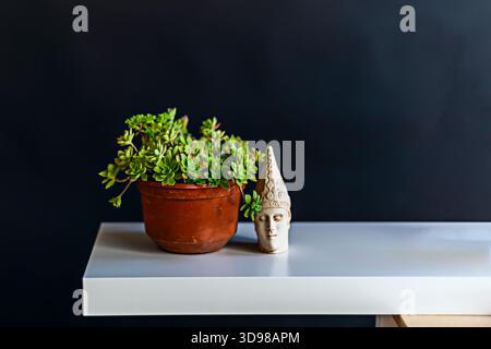 Pothos in einem Topf mit Moos-Unterstützung, elegant klettern mit seinen herzförmigen Blättern in verschiedenen Grüntönen Stockfoto