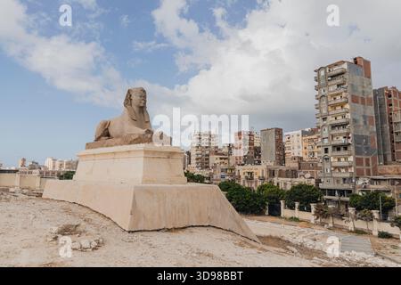 Statue der antiken Sphinx auf dem Hintergrund moderner Häuser und blauer bewölkter Himmel in Alexandria, Ägypten Stockfoto