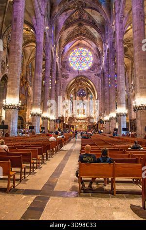 Blick in die Kathedrale von Palma im Kirchenschiff mit Bänken und Rosenfenster Stockfoto