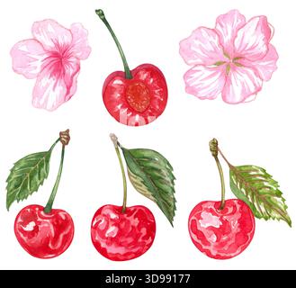 Handgezeichnetes Aquarellgemälde Kirsche auf weißem Hintergrund. Sommerillustration der Beeren Stockfoto