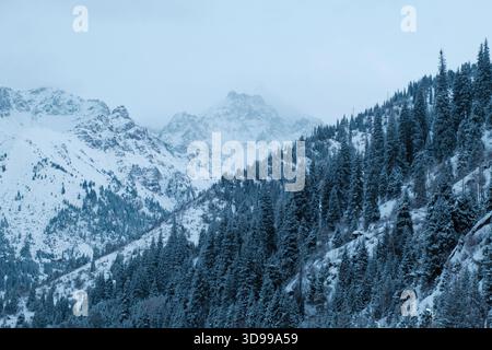 Schneebedeckte Berglandschaft. Die Hänge sind mit dichtem Nadelwald und frischem Schnee bedeckt. Die Gipfel der Berge sind im Nebel verloren Stockfoto