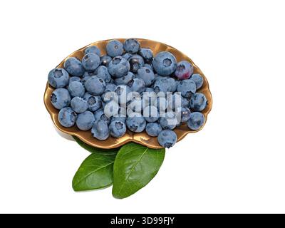 Heidelbeeren in eine Schüssel vor weißem Hintergrund Stockfoto