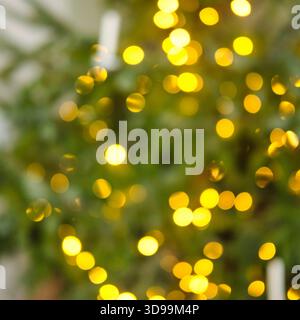 Weiche goldene Bokeh-Lichter erzeugen ein warmes, festliches Leuchten mit Anklängen von immergrünen Zweigen und bilden einen traumhaften abstrakten Hintergrund für den Urlaub. Stockfoto
