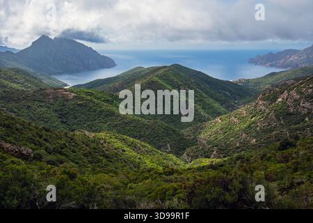 Blick von Bocca di Palmarella auf der D81 Küstenstraße zum Golf von Girolata, Korsika, Frankreich Stockfoto