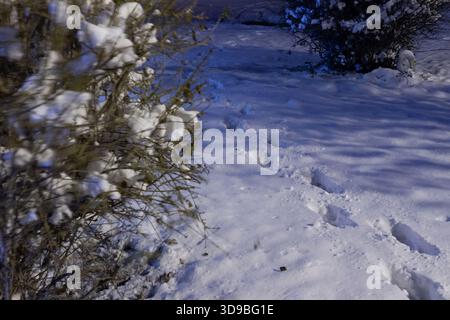 Schneebedeckte Schritte bei Nacht Stockfoto