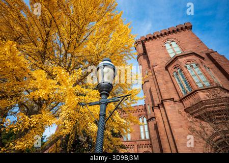Smithsonian Castle Gingko Tree Washington DC // WASHINGTON DC – Ein lebendiger Ginkgo biloba Baum zeigt leuchtend gelbes Herbstlaub neben dem historischen Smithsonian Institution Building. Dieses berühmte Gebäude aus rotem Sandstein, das allgemein als Smithsonian Castle bekannt ist, war das erste Gebäude der Smithsonian Institution, das 1855 fertiggestellt wurde. Entworfen vom Architekten James Renwick Jr. im romanischen Stil, dient es heute als Smithsonian Visitor Center. Das National Historic Landmark ist ein prominentes Merkmal in der National Mall in Washington DC. Stockfoto