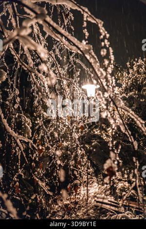 Schneebedeckte Baumzweige und Schneefall im Licht einer Laterne. Straßenbeleuchtung beleuchtet schneebedeckte Nachtlandschaft. Textur von Schnee und Eibenzweigen Stockfoto