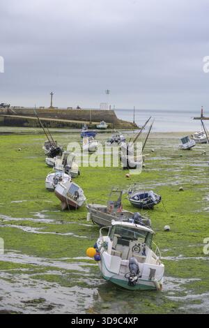Fischerboote liegen auf Grund im Hafen bei Ebbe, Barfleur, Département Manche, Frankreich Stockfoto