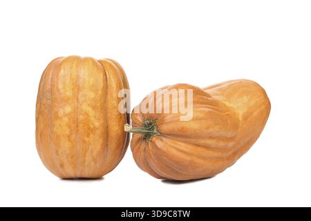 Zwei frische Kürbisse. Isoliert auf weißem Hintergrund Stockfoto