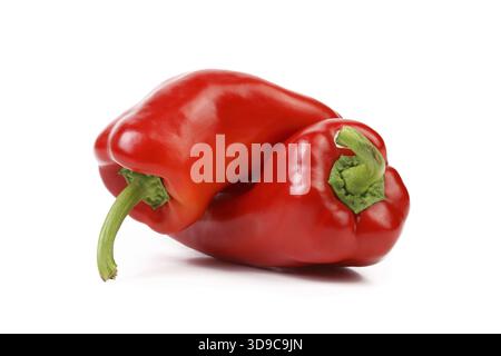 Zwei rote, süße, spitze Paprika (Paprika), isoliert auf weißem Hintergrund Stockfoto