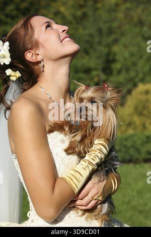 Die lachende Braut mit der Yorkshire-terrier Stockfoto