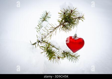 Eine rote Herzkugel auf einer kleinen Tanne im Schnee draußen Stockfoto