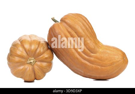 Zwei frische Kürbisse. Isoliert auf weißem Hintergrund Stockfoto