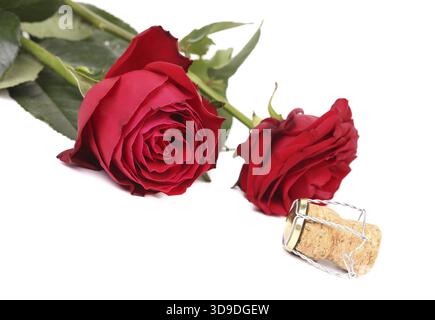 Nahaufnahme von zwei Rosen und einem Korken. Isoliert auf weißem Hintergrund Stockfoto