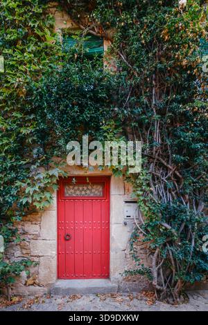 Rote Holztür an einer alten, rustikalen Steinmauer, stark bewachsen mit grünem Efeu und Weinstöcken in einem europäischen Dorf Stockfoto