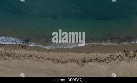 Aus der Vogelperspektive sehen sanfte Wellen, die die Sandküste küssen, ein einsamer Paddleboarder, der durch das türkisfarbene Wasser gleitet, Montecito, Kalifornien, USA. Stockfoto